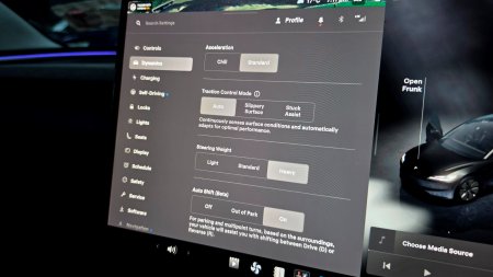 2024 Tesla Model 3 - photo 48