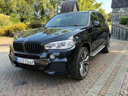 2014 BMW X5 - photo 6