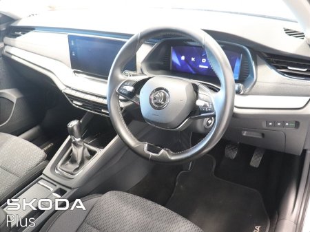 2021 Skoda Octavia - photo 8