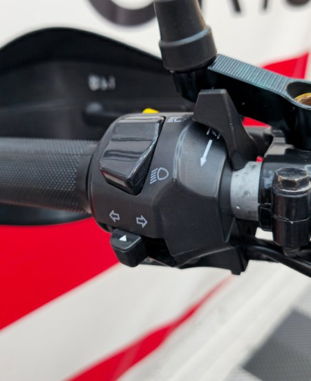 2021 ROYAL ENFIELD Himalayan - photo 11