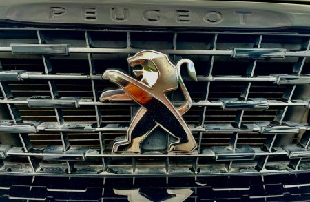2018 Peugeot 308 - photo 44