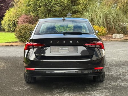 2023 Skoda Octavia - photo 6