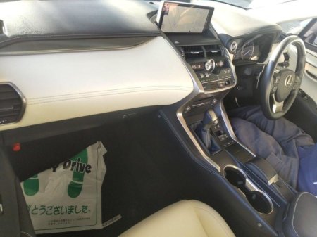 2018 Lexus NX - photo 3