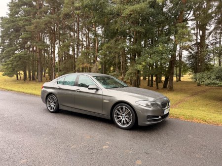 2014 BMW 5-Series 520D SE