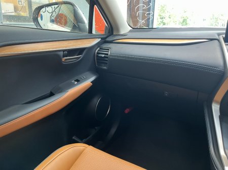 2021 Lexus NX - photo 14