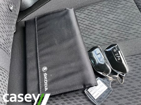 2021 Skoda Octavia - photo 18
