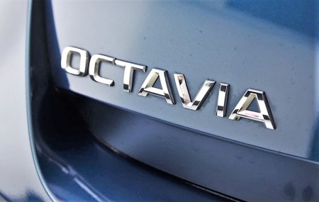 2024 Skoda Octavia - photo 28