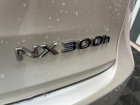 2021 Lexus NX - photo 8