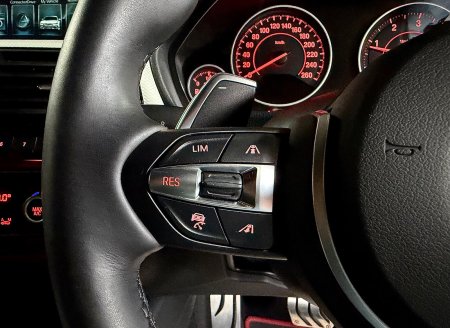 2016 BMW 3-Series - photo 44