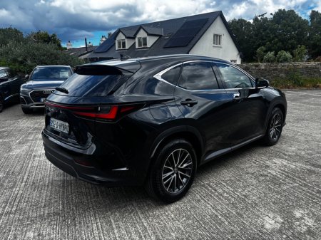 2025 Lexus NX - photo 3