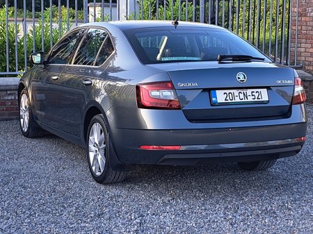 2020 Skoda Octavia - photo 7