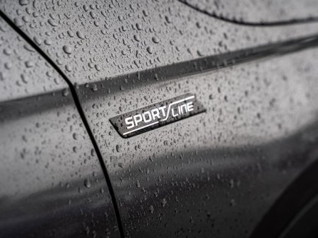 2025 Skoda Kodiaq - photo 16
