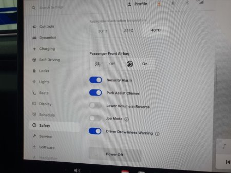 2025 Tesla Model 3 - photo 30