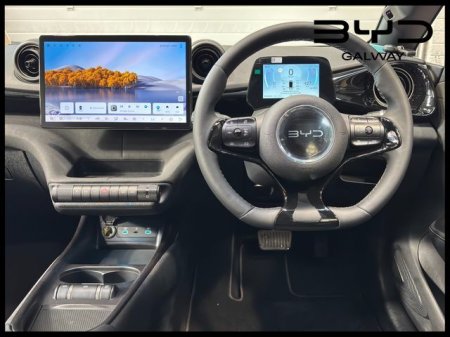 2026 BYD DOLPHIN - photo 10