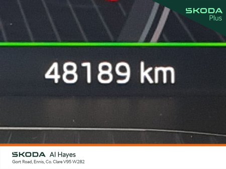 2024 Skoda Kodiaq - photo 5