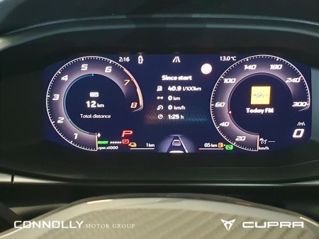 2026 Cupra Terramar - photo 11