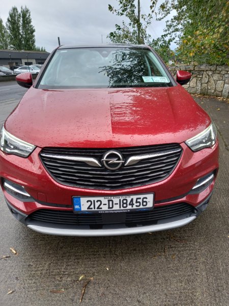 2021 Opel Grandland X - photo 10