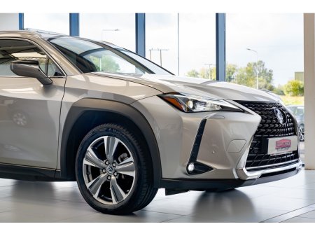 2021 Lexus UX - photo 4