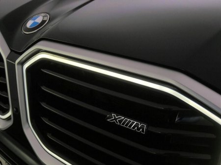 2025 BMW XM - photo 29