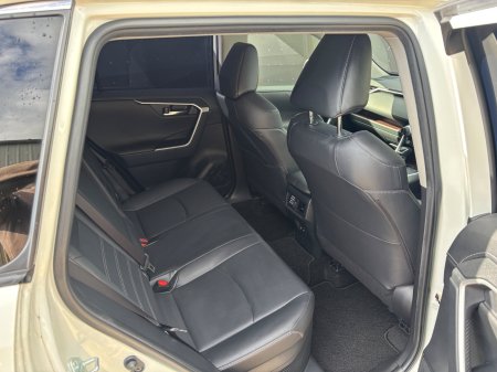 2019 Toyota RAV4 - photo 8