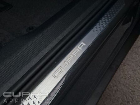 2025 Cupra Tavascan - photo 29