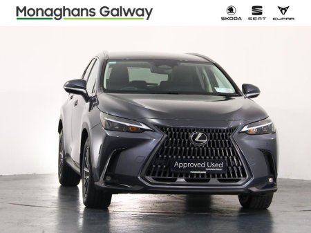 2023 Lexus NX - photo 9