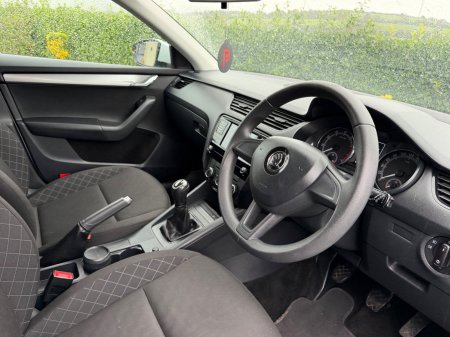 2019 Skoda Octavia - photo 12