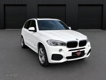 2014 BMW X5 3.0 30d M Sport Auto xDrive Euro 6 (s/s) 5dr