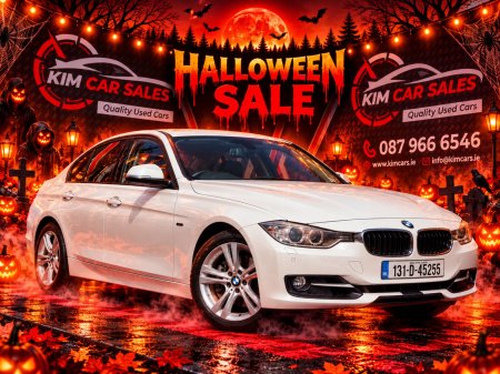 2013 BMW 3-Series 320I SE AUTO