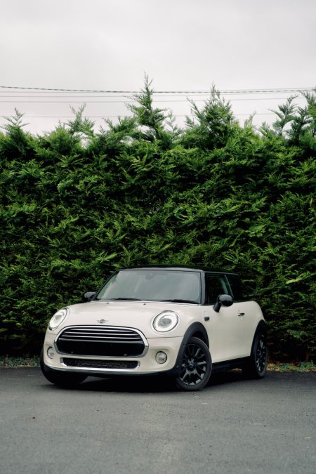 2019 Mini Cooper