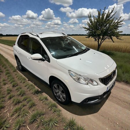 2016 Peugeot 2008 - photo 7