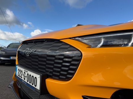 2022 Ford Mustang Mach-E - photo 16