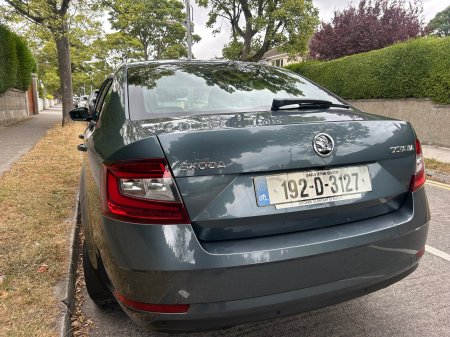 2019 Skoda Octavia - photo 5
