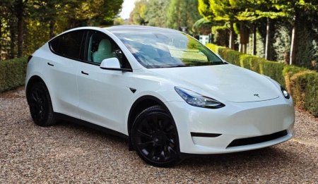 2024 Tesla Model Y RWD
