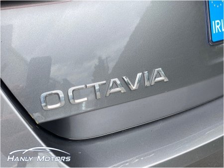 2024 Skoda Octavia - photo 28