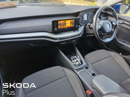 2024 Skoda Octavia - photo 4