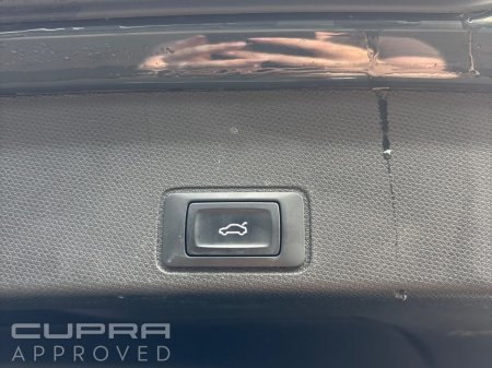 2025 Cupra Terramar - photo 15