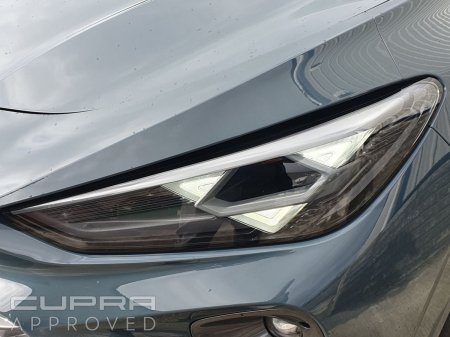 2026 Cupra Terramar - photo 15