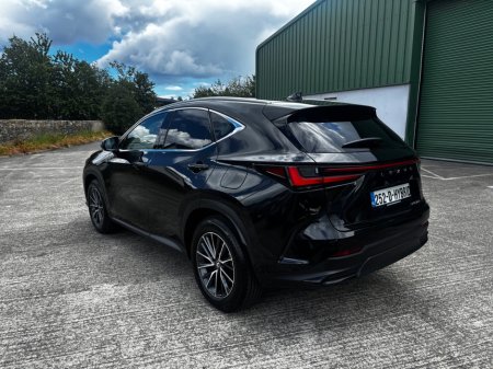 2025 Lexus NX - photo 4
