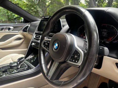 2020 BMW 8-Series - photo 17