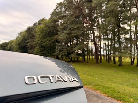 2018 Skoda Octavia - photo 36