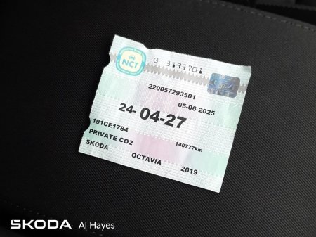 2019 Skoda Octavia - photo 29