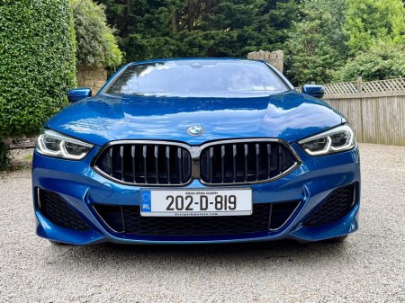 2020 BMW 8-Series - photo 12