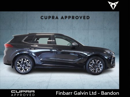 2026 Cupra Terramar - photo 16
