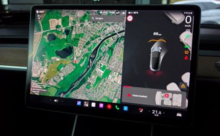 2020 Tesla Model 3 - photo 32