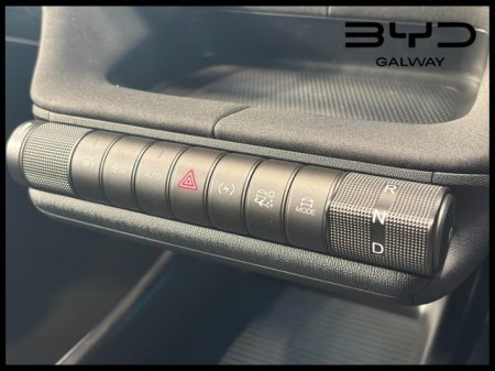 2026 BYD DOLPHIN - photo 26