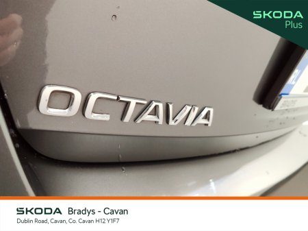 2024 Skoda Octavia - photo 28
