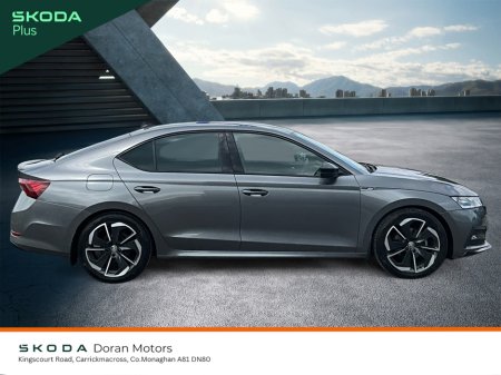 2024 Skoda Octavia - photo 7