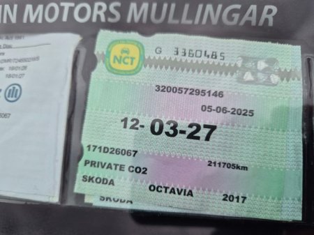 2017 Skoda Octavia - photo 10