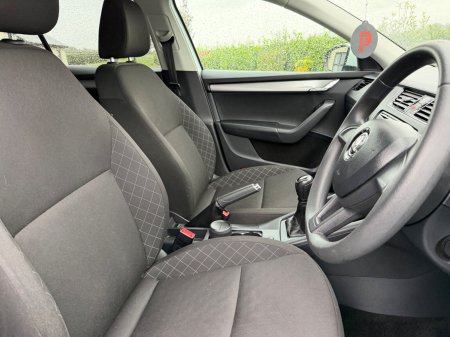 2019 Skoda Octavia - photo 11